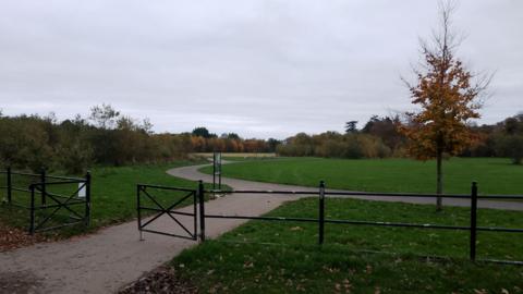 Picture of Drumahoe park showing metal fence and gate leading into the park and grass on either side of a concrete pathway with trees dotted around.