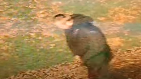 A man in a grainy CCTV video still. He is facing to the left as he walks, and wearing dark clothing. His face is indistinct