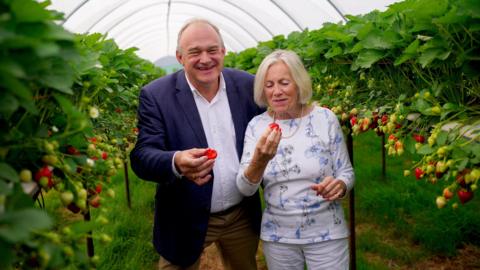 Ed Davey and Tessa Munt are standing in a poly tunnel with strawberries growing around them. They are each holding a strawberry in their hand and smiling.