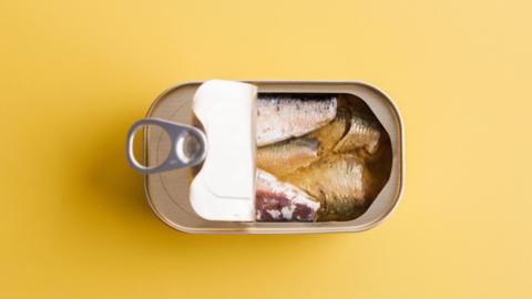 An opened tin of fish with a yellow background