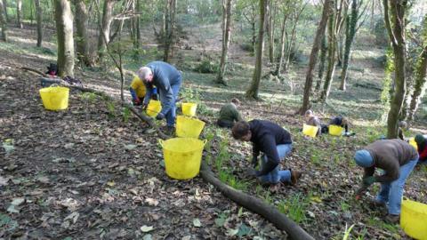 Volunteers working in a forest. There are yellow buckets. The volunteers are dressed in jeans and jumpers. 