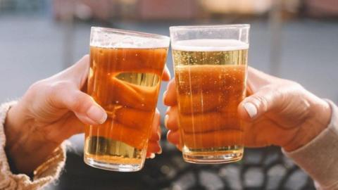 Two people are holding together two beer glasses in front of a blurred background.