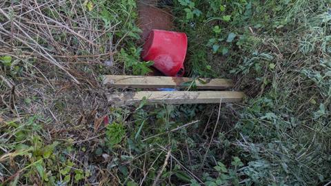 View of the ditch where the dog's body was found it is overgrown with vegetation and there are two planks and a red bucket in it