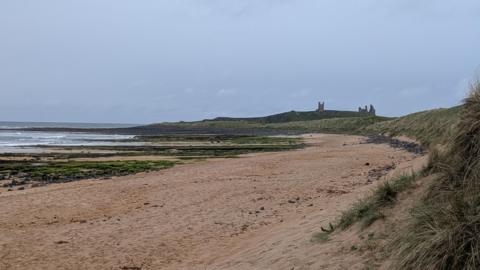 Embleton Bay near Craster, with the ruins of Dunstanbergh Castle in the distance. The beach is sandy and the tide is out, revealing some rocks covered in algae. The bank is covered in grass.