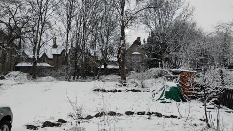 Snow covers a garden and branches on trees. Snow also lies on the roofs of houses.