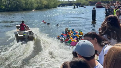 A speedboat helps move rubber ducks all congregated near the banks of the River Dee in Chester on a sunny day. Hundreds of people lined the banks of the river to watch. 