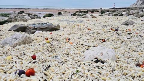 Thousands of chips covering a section of a beach. There are plastic bags and onions as well.