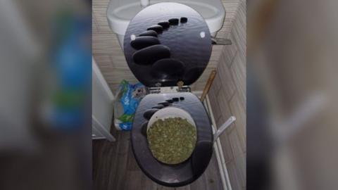 A large quantity of loose cannabis inside a toilet bowl 