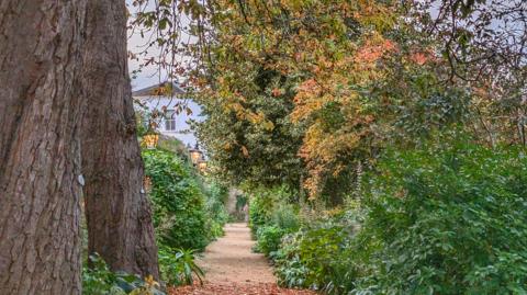 An autumn scene with trees, hedges and a path running between them. The leaves are turning brown with some scattered on the floor. There is a white house in the distance covered by some branches