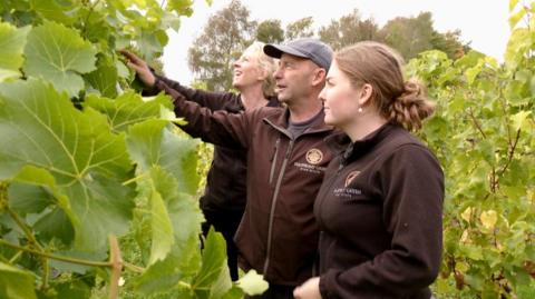 The owner of the vinyard, Clive Vickers, stands amid the vines and is flanked by two female pickers. They are all wearing dark branded tops and are looking at the grapes. 