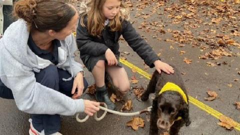 An eight-year-old girl strokes a small brown spaniel-type dog on a playground on a wet autumn day. Her teacher, who is dressed in activewear, is holding the dog on a lead and smiling.