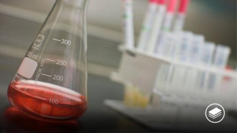 A photograph of a glass science beaker with a red liquid inside.