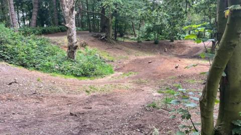 A bike trail amongst trees in Poringland Woods