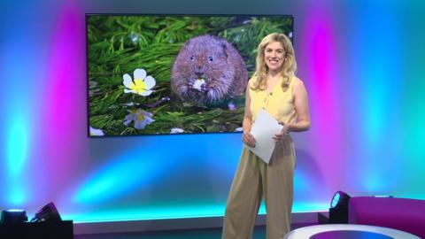 Jenny on the Newsround set