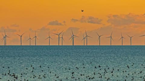 A wind farm out at sea during a sunset. 