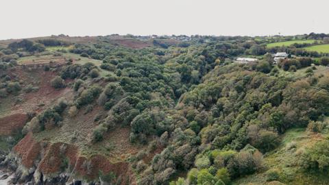 An image taken from a drone showing a woodland with cliff faces. There are two buildings in the background.