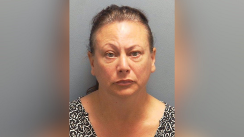 A mugshot of a woman with brunette hair