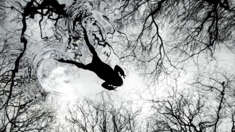 A black and white image of a toad, shot from below, swimming across a pond. The bare branches of trees can also be seen in the water's reflection.