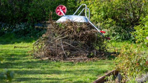 An upturned wheelbarrow sits atop a pile of branches and brambles on a lawn.
