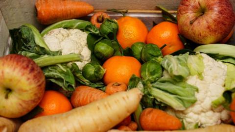 A selection of food - including apples, carrots, cauliflower, and sprouts.
