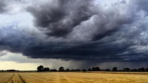 Large shower cloud over a dry brown field 