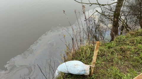 Oil like substance on the surface of a river.