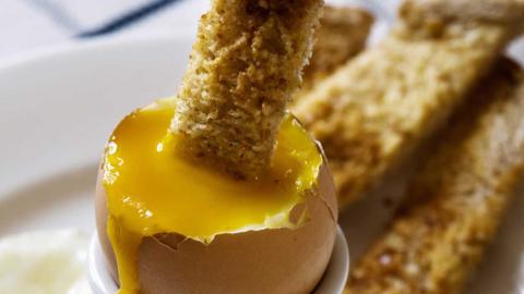 Boiled egg with toast being dipped into yoke.