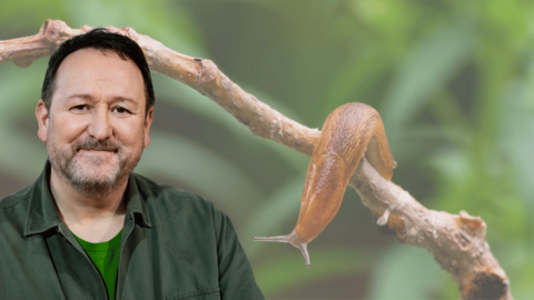 image shows gardening expert mark lane