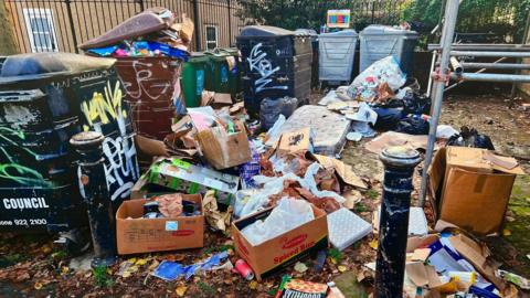 A photograph of rubbish dumped near waste bins