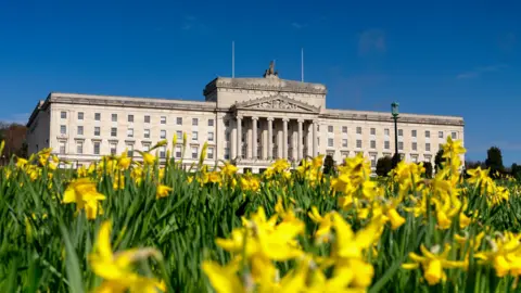A picture of Parliament Buildings at Stormont with daffodils in the foreground