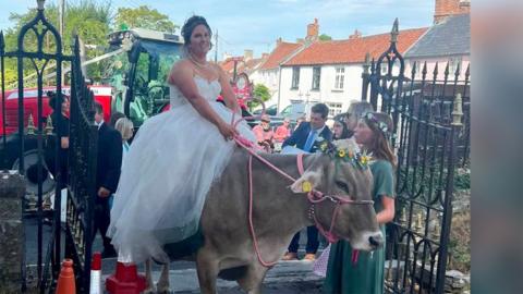 Bride one a cow