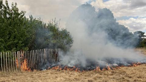 Flames can be seen behind a wooden gate that surrounds a densely packed group of trees. Dried out grass on the other side of the gate is also on fire, with smoke rising from it. 