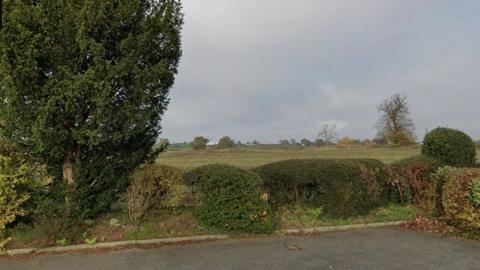 A large field with green brushes and sparse trees in the background. The field is behind a line of bushes making up a hedgerow, as well as a large tree. There is a concrete driveway next to it 