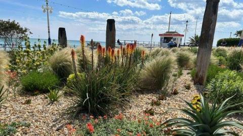 Flowers by the sea.