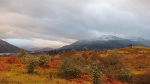 Rusty coloured bracken with grey mountains behind and white clouds filling the sky