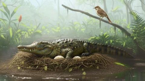 An AI-generated reconstruction of a 'drop croc', or mekosuchine crocodile, on top of a nest containing eggs on the bank of a pond in a forest with other animals seen around it.