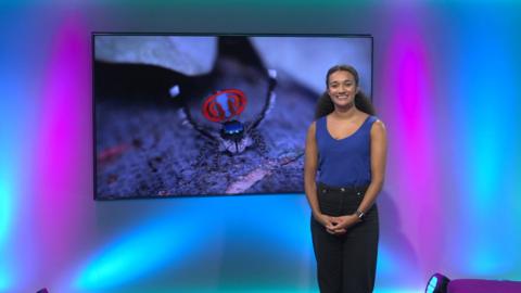 Nina on the Newsround set