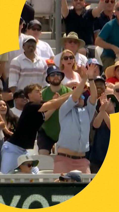 Cricket fans