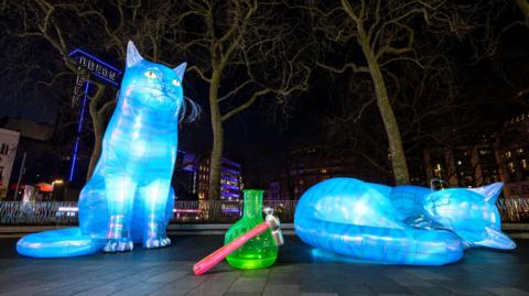 Towering five-metre (16ft) neon inflatable cats, coloured bright blue, are in Leicester Square, the size of a double-decker bus. They are pictured at night.