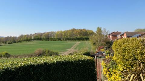 A wide, open landscape under a clear blue sky with no visible clouds. In the foreground, a neatly trimmed hedge runs horizontally across the bottom of the scene, and to the right there are bright yellow flowering shrubs and other garden plants beside a wooden fence. Beyond the hedge lies a large, green field with short grass, bordered by low bushes and vegetation. A narrow dirt or tractor path runs diagonally across the field toward a line of trees in the distance. Behind the trees, gentle hills can be seen extending toward the horizon. On the far right side of the image, partially visible houses with tiled roofs sit just beyond the garden area.