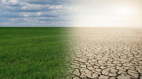 Half non-drought, half drought photo of a field 
