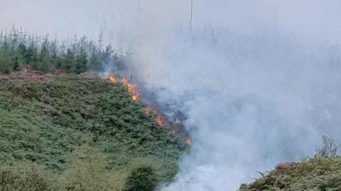Fire and smoke across green moorland and forest.