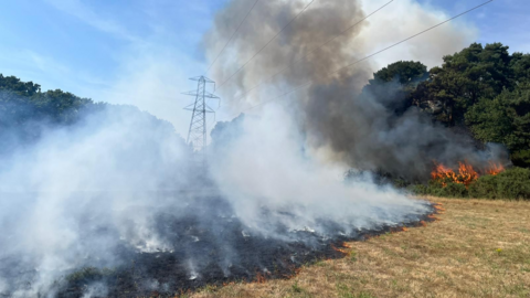 The grass fire, which has clearly spread to a bush at the bottom of trees, and thick smoke. It is happening directly underneath power lines, with a pylon further away at the back of the picture.