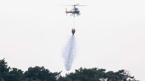 A firefighting helicopter drops sea water on trees where a wildfire is burning in Suffolk