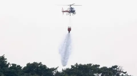 A firefighting helicopter drops sea water on trees where a wildfire is burning in Suffolk