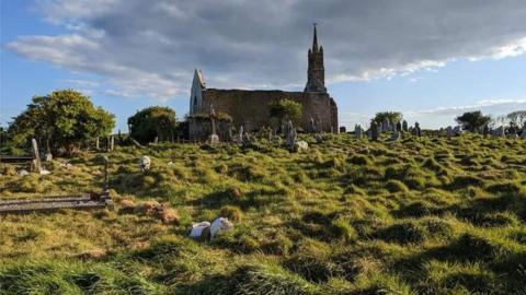 St Matthew's Templebreedy Church