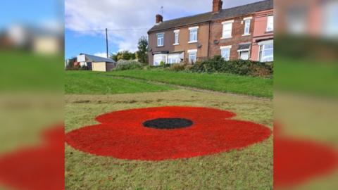 A poppy in Doncaster
