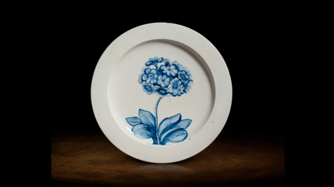 A professional-looking close-up image of a white plate with a blue flowering auricula painted on it. It is propped up on a wooden table against a dark background.