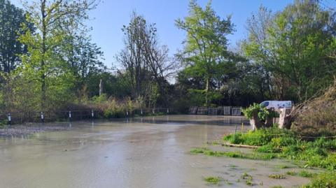 Flooded road with van in the distance - some bollards can be seen along the tree-line edge.
