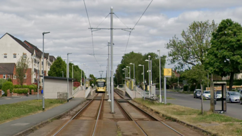 A view of tram tracks in the middle of a tree-lined street.